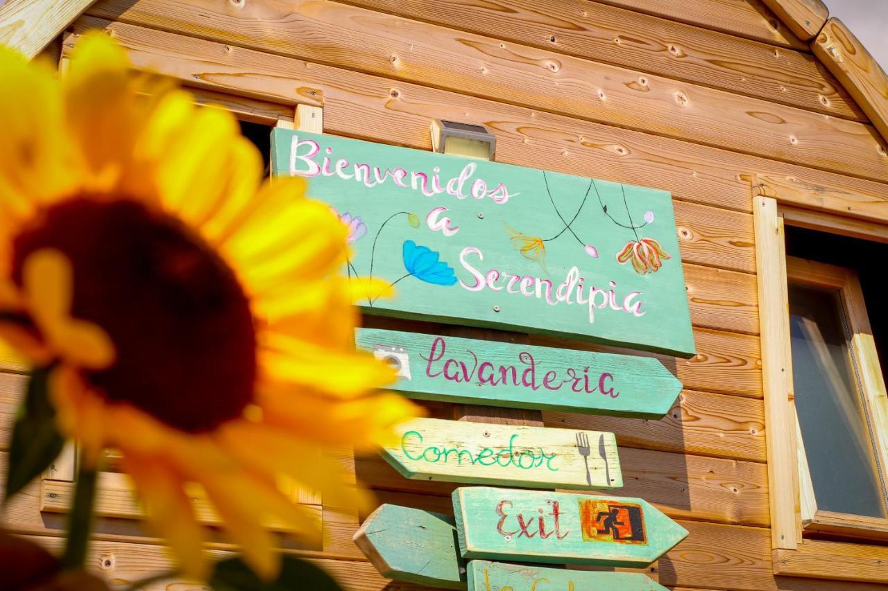 Laurisilva Love Spa Sauna Y Piscina Buzanada Exteriör bild